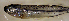  ( - fl813as250)  @12 [ ] CreativeCommons - Attribution Non-Commercial Share-Alike (2013) Benjamin Victor Benjamin Victor