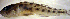  ( - fl813mg238)  @12 [ ] CreativeCommons - Attribution Non-Commercial Share-Alike (2013) Benjamin Victor Benjamin Victor