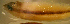  ( - gal904tg290)  @12 [ ] CreativeCommons - Attribution Non-Commercial Share-Alike (2012) Benjamin Victor Benjamin Victor