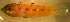  ( - gal98609tp171)  @12 [ ] CreativeCommons - Attribution Non-Commercial Share-Alike (2012) Benjamin Victor Benjamin Victor