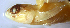  ( - gf19c330)  @11 [ ] CreativeCommons - Attribution Non-Commercial Share-Alike (2019) Benjamin Victor Benjamin Victor