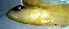  ( - gf19c7)  @11 [ ] CreativeCommons - Attribution Non-Commercial Share-Alike (2019) Benjamin Victor Benjamin Victor