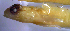  ( - gf19c8)  @11 [ ] CreativeCommons - Attribution Non-Commercial Share-Alike (2019) Benjamin Victor Benjamin Victor