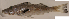  ( - gom913ps580)  @12 [ ] CreativeCommons - Attribution Non-Commercial Share-Alike (2013) Benjamin Victor Benjamin Victor