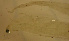  ( - gv123c388)  @11 [ ] CreativeCommons - Attribution Non-Commercial Share-Alike (2012) Benjamin Victor Benjamin Victor