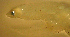  ( - gv125rn950)  @11 [ ] CreativeCommons - Attribution Non-Commercial Share-Alike (2012) Benjamin Victor Benjamin Victor
