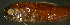  ( - gv12mn360)  @12 [ ] CreativeCommons - Attribution Non-Commercial Share-Alike (2012) Benjamin Victor Benjamin Victor