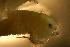  ( - gv85310l300)  @11 [ ] CreativeCommons - Attribution Non-Commercial Share-Alike (2011) Benjamin Victor Research Collection of Benjamin Victor