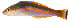  ( - je144paf)  @13 [ ] CreativeCommons - Attribution Non-Commercial Share-Alike (2014) Benjamin Victor Benjamin Victor