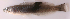  ( - je144pm610)  @12 [ ] CreativeCommons - Attribution Non-Commercial Share-Alike (2014) Benjamin Victor Benjamin Victor