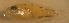  ( - n7528apc110)  @12 [ ] CreativeCommons - Attribution Non-Commercial Share-Alike (2012) Benjamin Victor Benjamin Victor