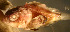  ( - n7530asi210)  @13 [ ] CreativeCommons - Attribution Non-Commercial Share-Alike (2011) Benjamin Victor Benjamin Victor