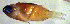  ( - pal87nn137)  @12 [ ] CreativeCommons - Attribution Non-Commercial Share-Alike (2016) Benjamin Victor Benjamin Victor