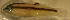  ( - pp96701hm142)  @12 [ ] CreativeCommons - Attribution Non-Commercial Share-Alike (2012) Benjamin Victor Benjamin Victor