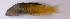  ( - qm14ma540)  @13 [ ] CreativeCommons - Attribution Non-Commercial Share-Alike (2014) Benjamin Victor Benjamin Victor