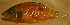  ( - rang12lx202)  @12 [ ] CreativeCommons - Attribution Non-Commercial Share-Alike (2012) Benjamin Victor Benjamin Victor