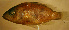  ( - rang12lx215)  @13 [ ] CreativeCommons - Attribution Non-Commercial Share-Alike (2012) Benjamin Victor Benjamin Victor