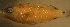  ( - rangst240)  @12 [ ] CreativeCommons - Attribution Non-Commercial Share-Alike (2012) Benjamin Victor Benjamin Victor