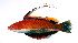  ( - rte66sricr)  @13 [ ] CreativeCommons - Attribution Non-Commercial Share-Alike (2014) Benjamin Victor Benjamin Victor