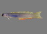  ( - soc18198)  @11 [ ] by-nc-sa (2022) Sergey Bogorodsky Sergey Bogorodsky