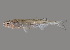  ( - soc18050)  @11 [ ] by-nc-sa (2022) Sergey Bogorodsky Sergey Bogorodsky