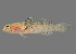  ( - soc19359)  @11 [ ] by-nc-sa (2022) Sergey Bogorodsky SMF