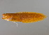  ( - soc19462)  @11 [ ] by-nc-sa (2022) Sergey Bogorodsky Sergey Bogorodsky