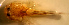  ( - u872aygr)  @11 [ ] by-nc-sa (2024) Benjamin Victor Benjamin Victor