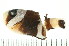  ( - HBL-LI-2001-138)  @12 [ ] CreativeCommons - Attribution (2008) Unspecified Centre for Biodiversity Genomics