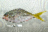  ( - UG0040)  @12 [ ] CreativeCommons - Attribution (2009) Unspecified Centre for Biodiversity Genomics