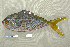  ( - UG0041)  @13 [ ] CreativeCommons - Attribution (2009) Unspecified Centre for Biodiversity Genomics