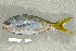  ( - UG0043)  @14 [ ] CreativeCommons - Attribution (2009) Unspecified Centre for Biodiversity Genomics
