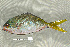  ( - UG0044)  @13 [ ] CreativeCommons - Attribution (2009) Unspecified Centre for Biodiversity Genomics