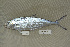  ( - UG0057)  @14 [ ] CreativeCommons - Attribution (2009) Unspecified Centre for Biodiversity Genomics