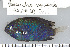  ( - UG0065)  @11 [ ] CreativeCommons - Attribution (2009) Unspecified Centre for Biodiversity Genomics