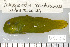  ( - UG0066)  @13 [ ] CreativeCommons - Attribution (2009) Unspecified Centre for Biodiversity Genomics