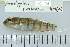  ( - UG0069)  @13 [ ] CreativeCommons - Attribution (2009) Unspecified Centre for Biodiversity Genomics