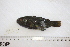  ( - UG0009)  @11 [ ] CreativeCommons - Attribution (2009) Unspecified Centre for Biodiversity Genomics