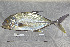  ( - UG0110)  @13 [ ] CreativeCommons - Attribution (2009) Unspecified Centre for Biodiversity Genomics