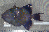  ( - UG0120)  @13 [ ] CreativeCommons - Attribution (2009) Unspecified Centre for Biodiversity Genomics