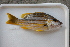  ( - UG0013)  @13 [ ] CreativeCommons - Attribution (2009) Unspecified Centre for Biodiversity Genomics