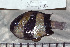  ( - UG0151)  @12 [ ] CreativeCommons - Attribution (2009) Unspecified Centre for Biodiversity Genomics