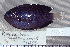  ( - UG0153)  @14 [ ] CreativeCommons - Attribution (2009) Unspecified Centre for Biodiversity Genomics