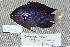  ( - UG0154)  @14 [ ] CreativeCommons - Attribution (2009) Unspecified Centre for Biodiversity Genomics