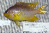  ( - UG0156)  @11 [ ] CreativeCommons - Attribution (2009) Unspecified Centre for Biodiversity Genomics