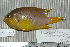  ( - UG0157)  @14 [ ] CreativeCommons - Attribution (2009) Unspecified Centre for Biodiversity Genomics