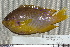  ( - UG0158)  @12 [ ] CreativeCommons - Attribution (2009) Unspecified Centre for Biodiversity Genomics
