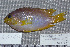  ( - UG0160)  @13 [ ] CreativeCommons - Attribution (2009) Unspecified Centre for Biodiversity Genomics