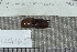  ( - UG0165)  @12 [ ] CreativeCommons - Attribution (2009) Unspecified Centre for Biodiversity Genomics