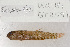  ( - UG0181)  @13 [ ] CreativeCommons - Attribution (2009) Unspecified Centre for Biodiversity Genomics